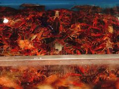 -红透天牛排海鲜自助(长和国际直营店)