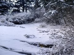 -华山风景名胜区
