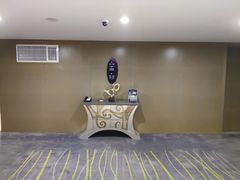 -南京禄口机场雅高铂尔曼大酒店