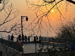 -紫金山山顶公园