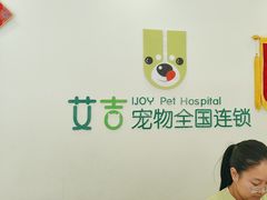 -艾吉宠物医院·疑难杂症转诊中心·猫友好(碧江路院)