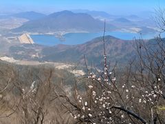 -北京十三陵国家森林公园蟒山景区