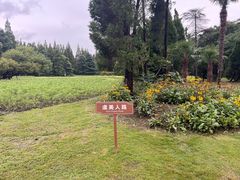 -上海滨江森林公园