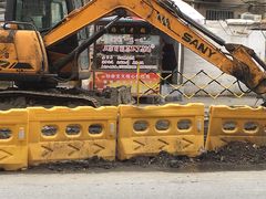 -正宗忘不了老鹅(梅岭店)