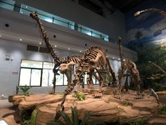 -自贡恐龙博物馆