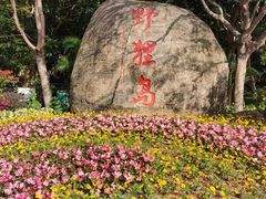 -野狸岛