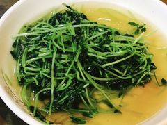 酒香豆苗-沈记菜馆(酒仙桥路店)