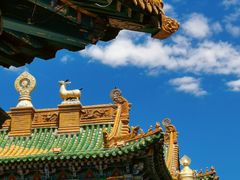 -大召无量寺