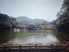 -广州市帽峰山景区