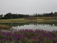 -两河城市森林公园