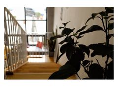 -隹木咖啡馆(宝龙广场店)