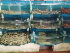 水产区-同道蒸汽海鲜烧烤自助(刘庄夜市店)