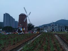 -玫瑰海岸文化旅游度假区