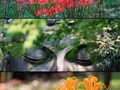 -杭州植物园