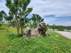 -上海海湾国家森林公园