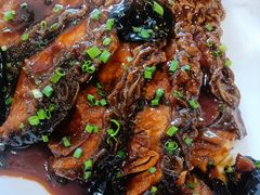 红烧肚档-长兴菜馆(高桥店)