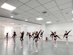 -西安小天鹅艺术团(金花路校区)