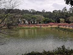 -南国桃园旅游度假区