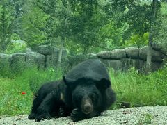 -北京野生动物园
