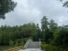 -广州市帽峰山景区