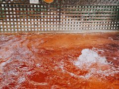 -春晖园度假酒店温泉