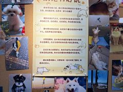-翊宠yipet猫狗购宠庄园犬舍•猫舍