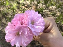 -藏猫猫咖啡主题馆(中央大道店)