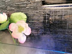 -大榕树下顺德菜(融创茂店)