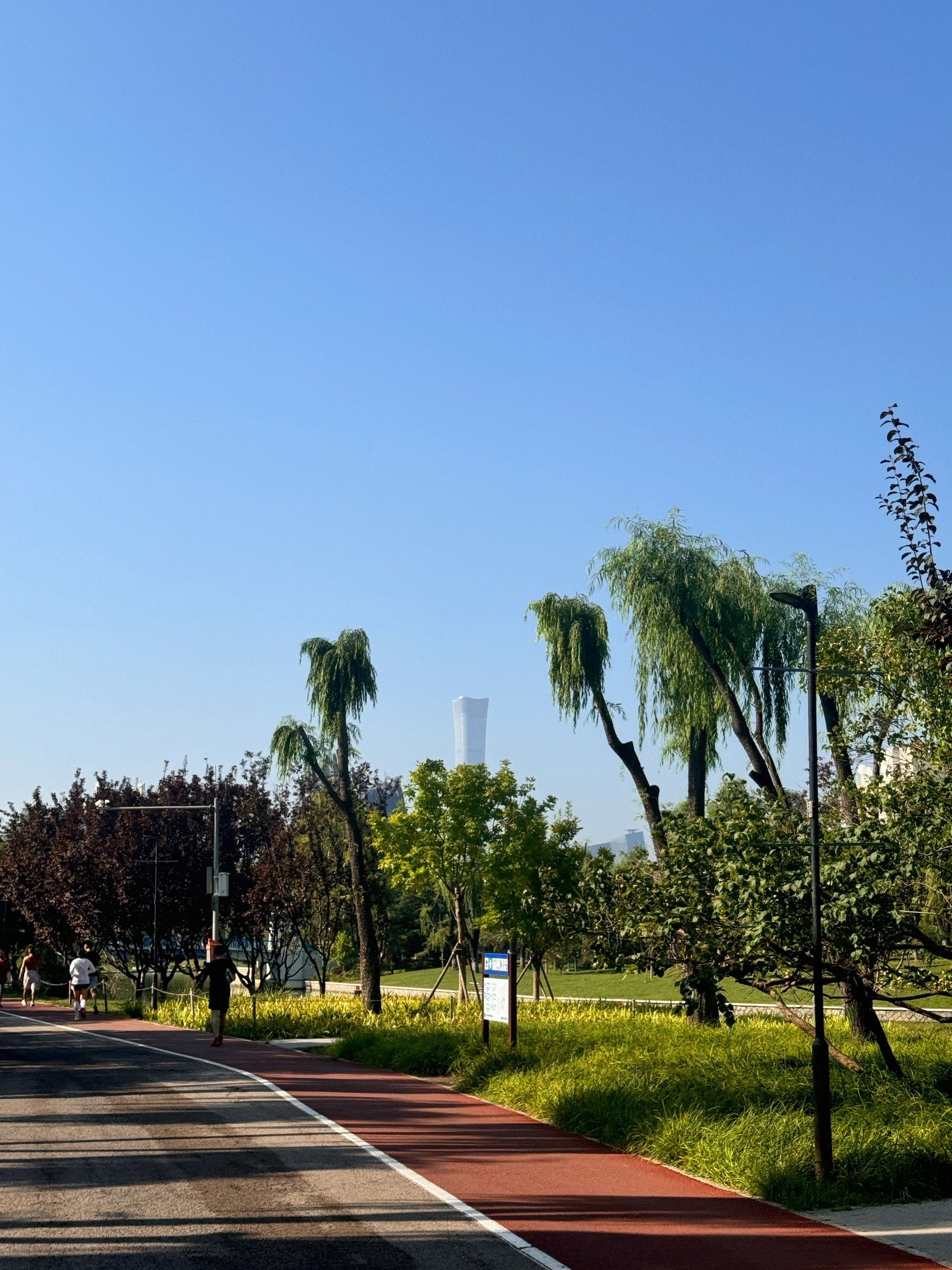 朝阳公园跑步