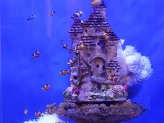 -海合安武汉极地海洋公园