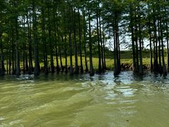 -苏州太湖国家湿地公园