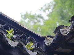 -山塘街