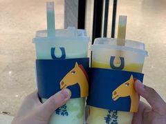 -春丽小马(济南恒隆广场店)