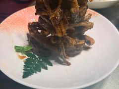 -天福苑(崇宁路店)