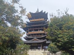 -杭州半山国家森林公园