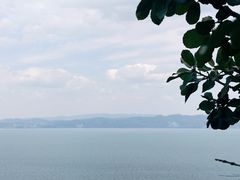 -抚仙湖禄充风景区