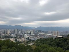 -金鸡山公园