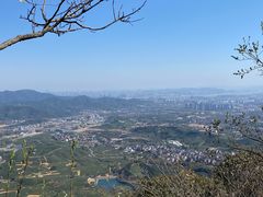 -龙坞茶村