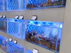 -映像威海·威海宴(威高广场店)