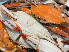 -半岛听涛蒸汽海鲜自助(K11店)