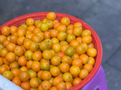 -老炳·七丛松甘草水果