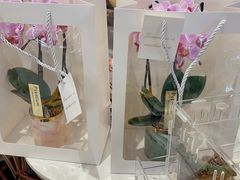 -花邻FloweringLife花艺气球派对(武康大楼店)