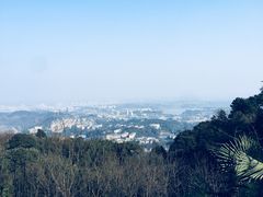 -乐山长药老地方油炸串串(峨眉四中店)