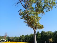 -同里国家湿地公园