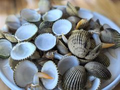 白灼鸡腿螺-蓝湾碧波·老字号·疍家非遗海上餐厅