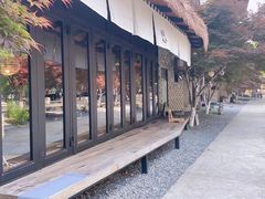 -苏州本色美术馆
