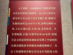 -迪庆藏族自治州博物馆