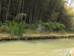 -同里国家湿地公园