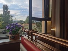 -马白开来特色羊排揪片子  (总店)