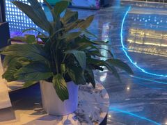 -青春足迹·概念店·小憩足疗SPA